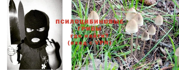 спиды Баксан