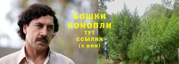 прущие крисы Беломорск
