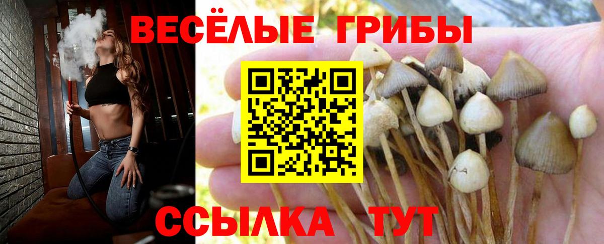 Галлюциногенные грибы Magic Shrooms Краснокаменск