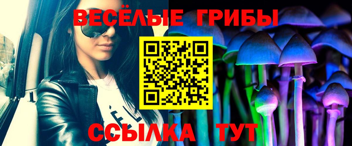 Псилоцибиновые грибы GOLDEN TEACHER  Галлюциногенные грибы мухоморы  Краснокаменск  Вход с VPN 